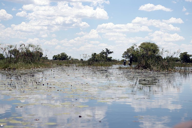 BWA NW OkavangoDelta 2016DEC02 Mokoro 028